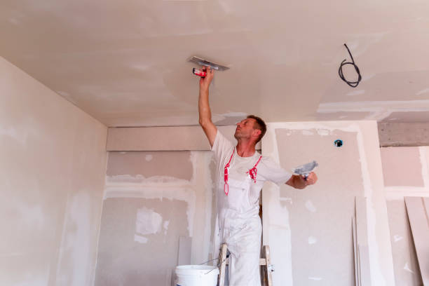 Best Drywall Patching  in USA